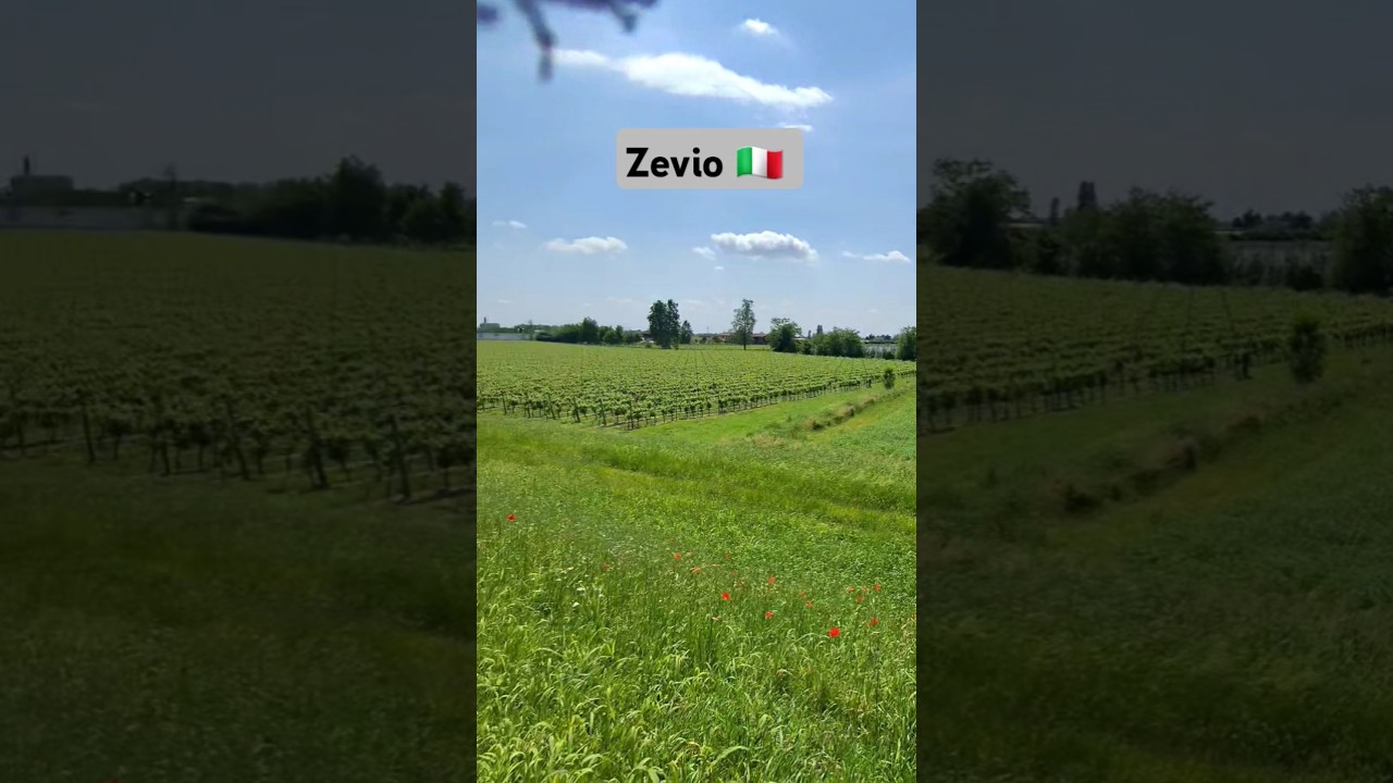 Zevio is a comune in the Province of Verona veneto 😍🥰🎵  #zevio #italytravel #verona