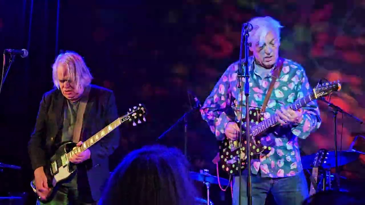 Robyn Hitchcock: 