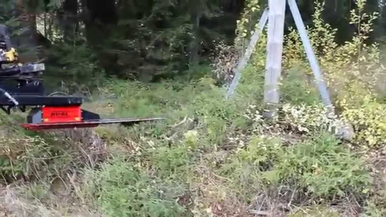 Cutting thicket around an electric pole - Raivaus s&auml;hk&ouml;tolpan ymp&auml;rilt&auml;