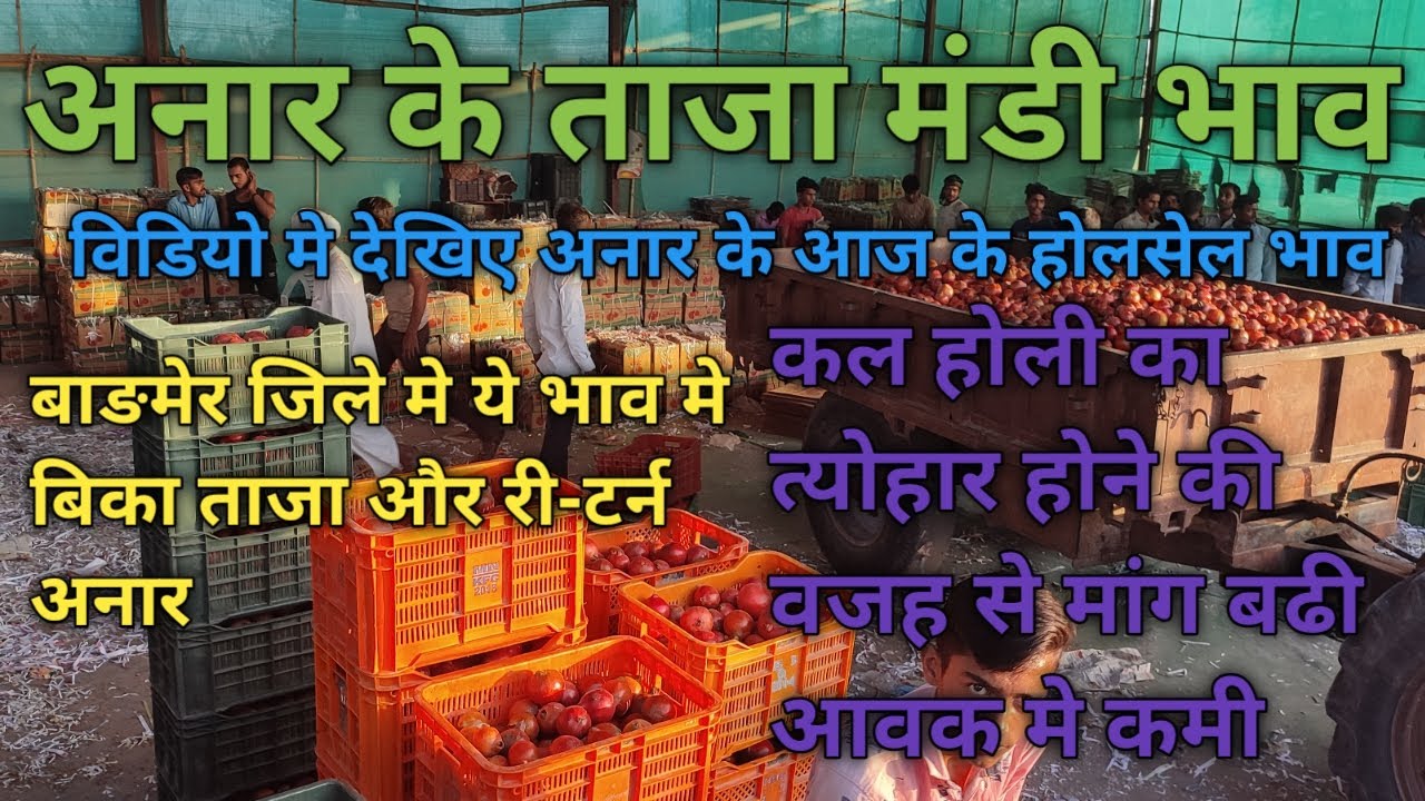 जागसा बुडिवाडा अनार मंडी आज के भाव। देखे आज के होलसेल भाव दिनांक 16-03-22 #Thar_technical_farming