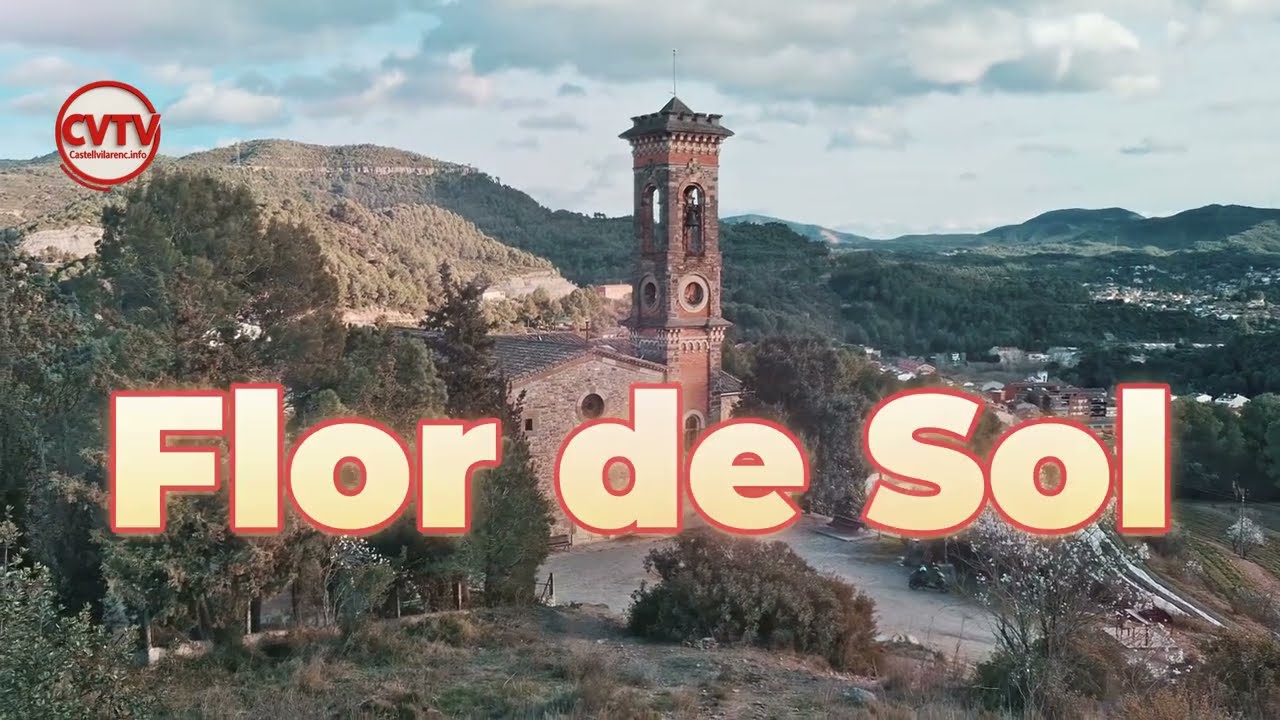 Flor de Sol  17 Febrer 2026