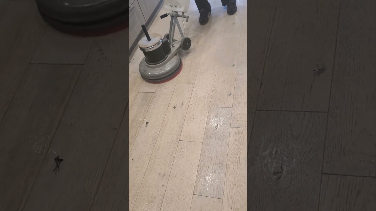 Laminate Floor Deep Cleaning - Step 1