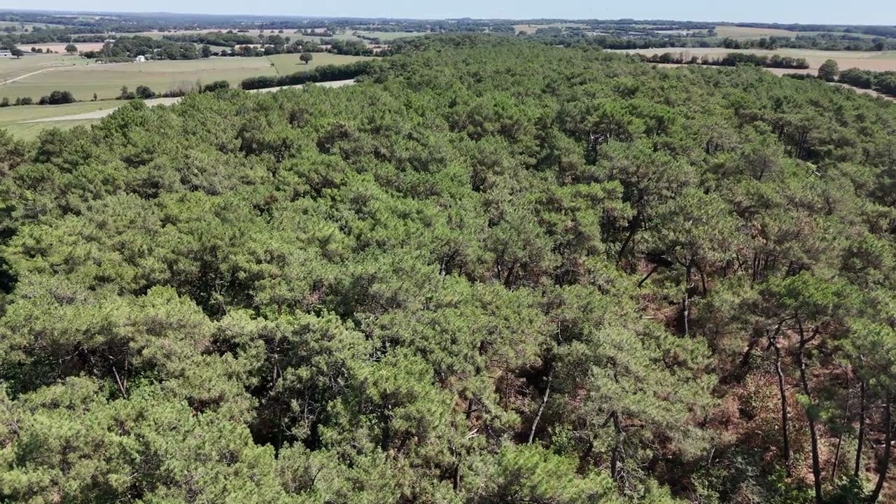 TOP M&eacute;t&eacute;o ! Suite  (4k 60Fps ND64  Audio;5.1 IA)   DJI Flip