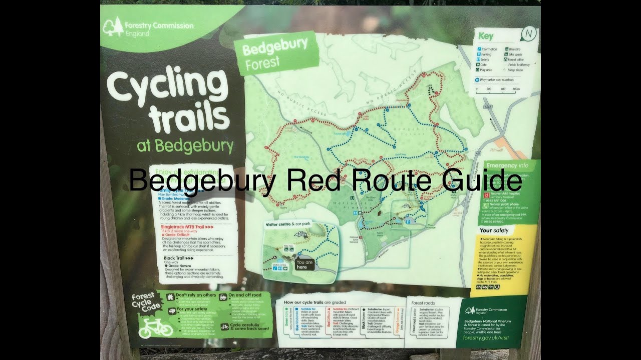 Путеводитель по красному маршруту Bedgebury MTB