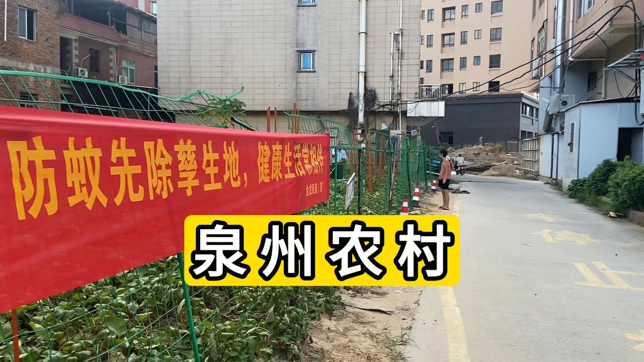 探访福建省泉州市古店村 随处可见老的石头房 几颗龙眼树 有家房子废弃了很可惜 蚊子病毒蔓延 村里醒目的灭蚊横幅 Explore Village In Quanzhou City.China.