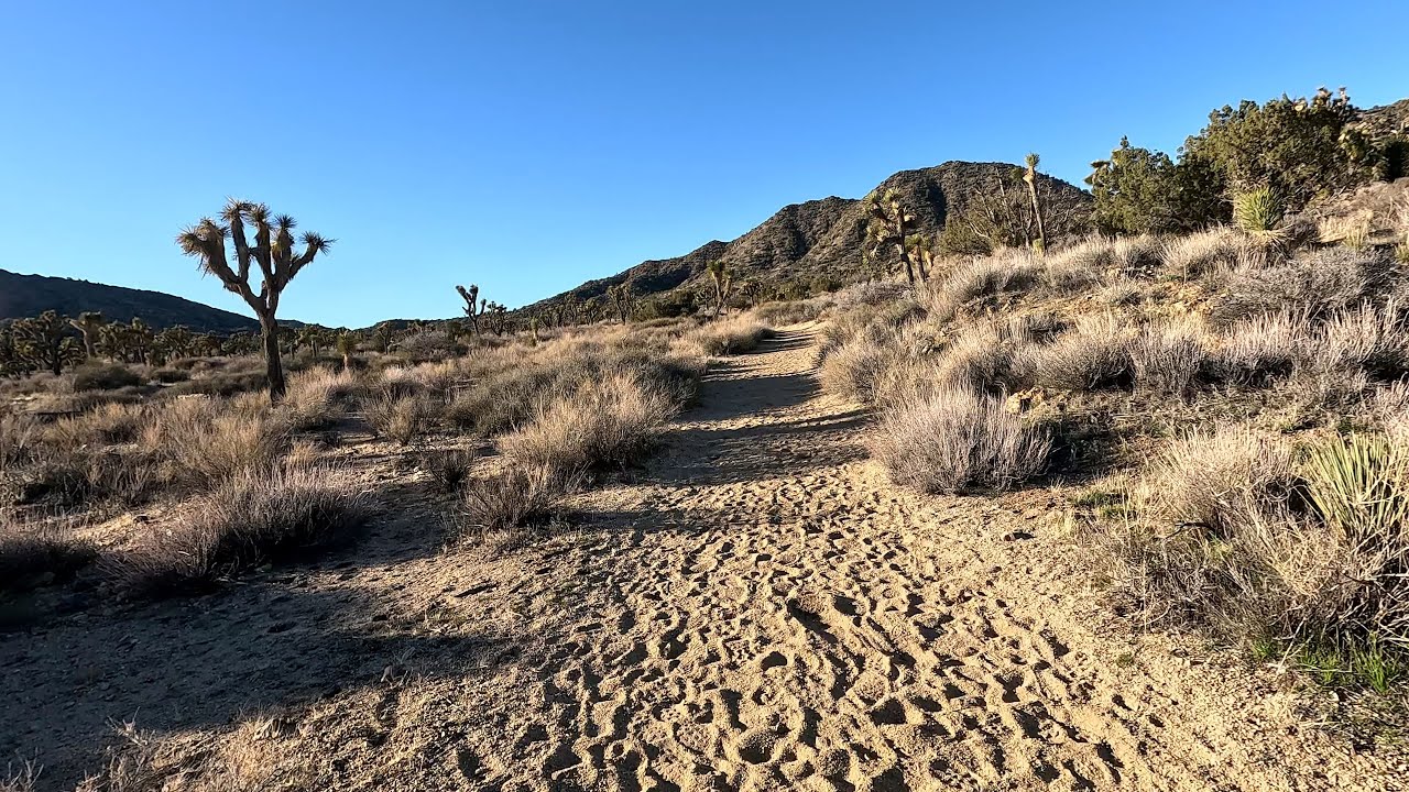 West Side Loop at Joshua Tree NP - 4K -