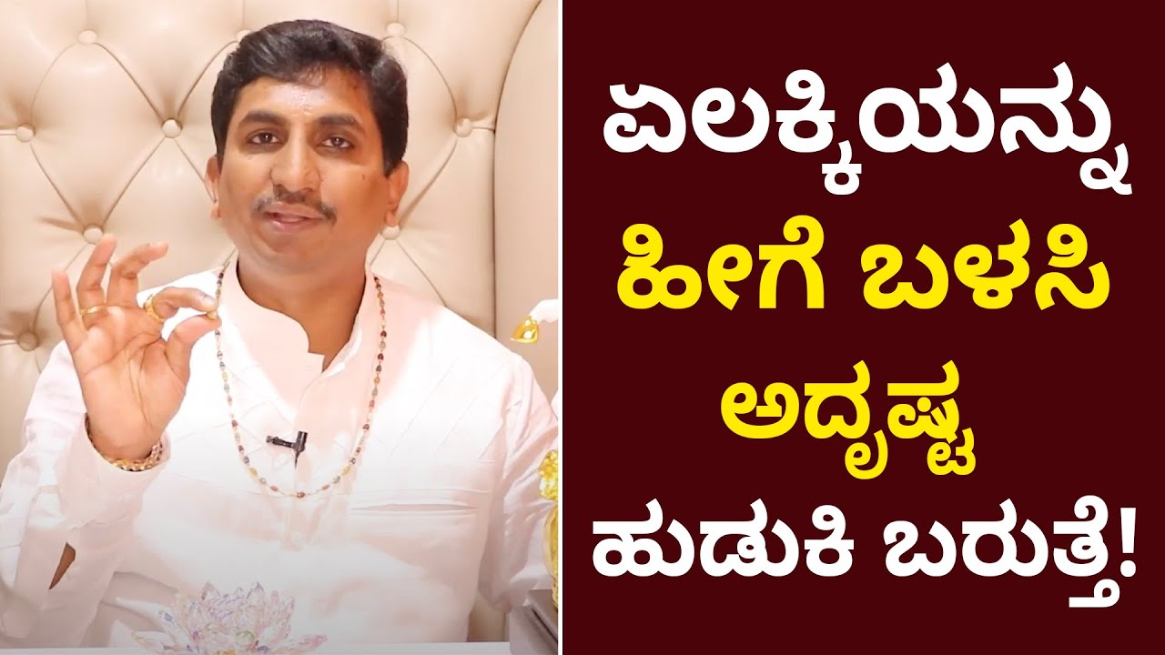 Small Amount of Cardamom Can Make You Rich | Vijay Karnataka