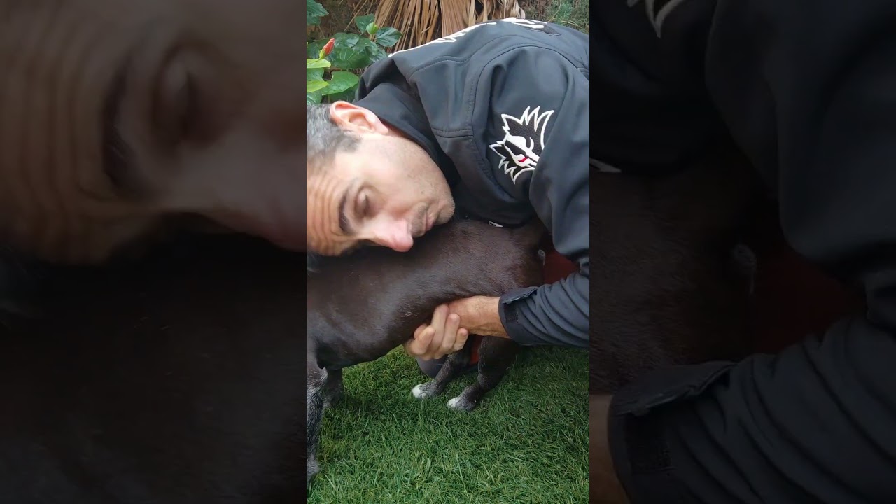 Tu perro se ATRAGANTA.#shorts #primerosauxilios #tutorial