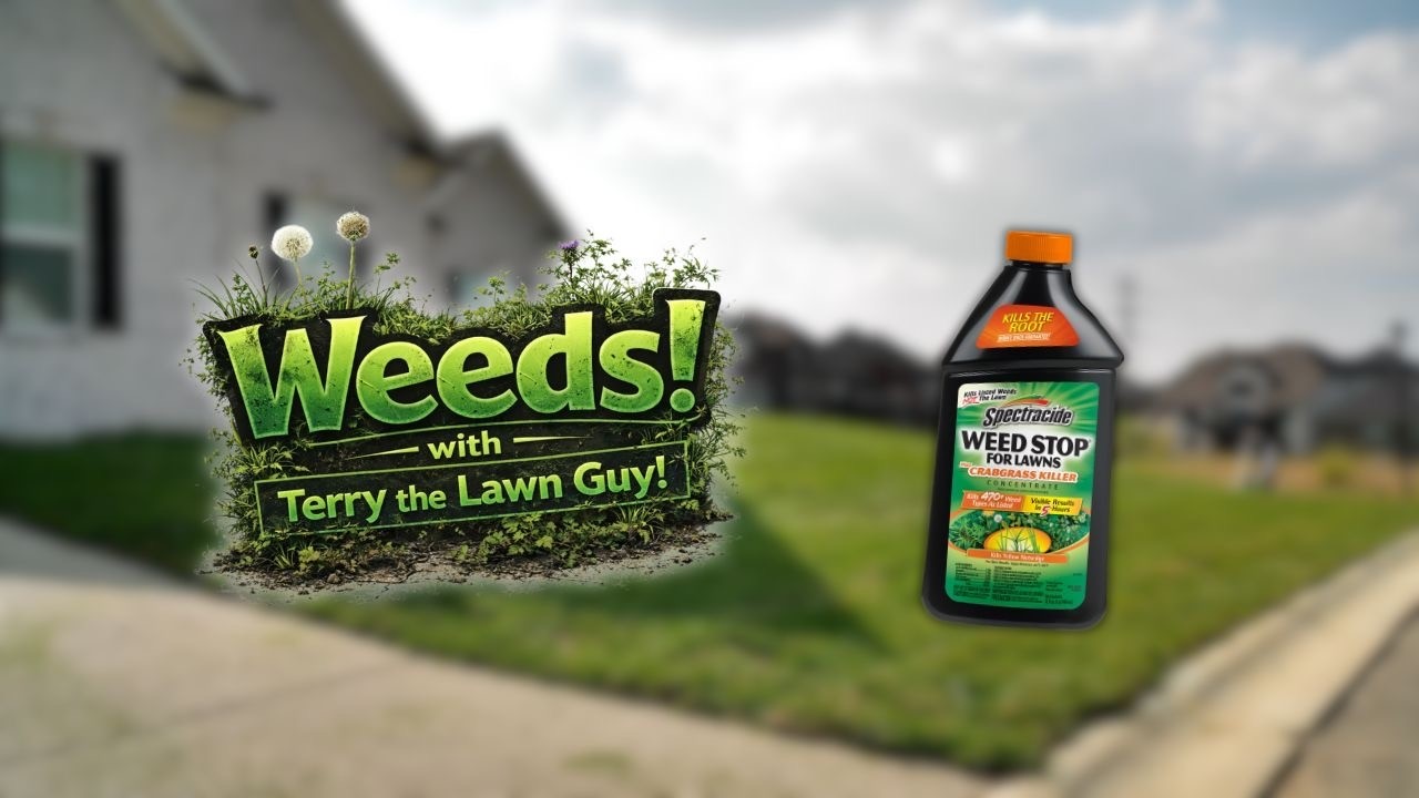 Weeds!