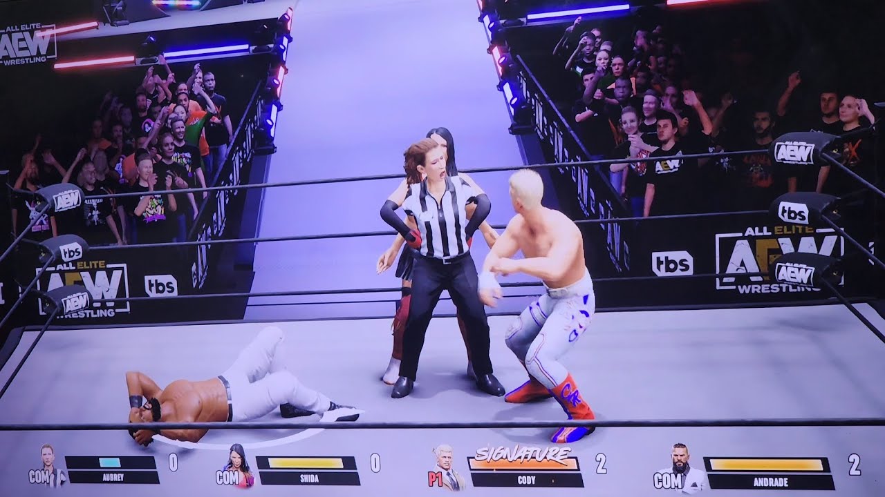 AEW  Fight Forever Royal Rumble