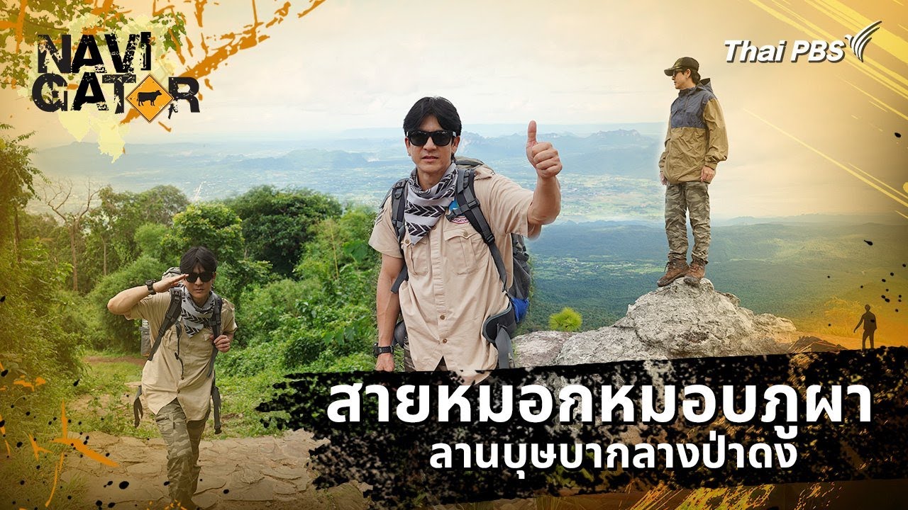 สายหมอกหมอบภูผา ลานบุษบากลางป่าดง | Navigator