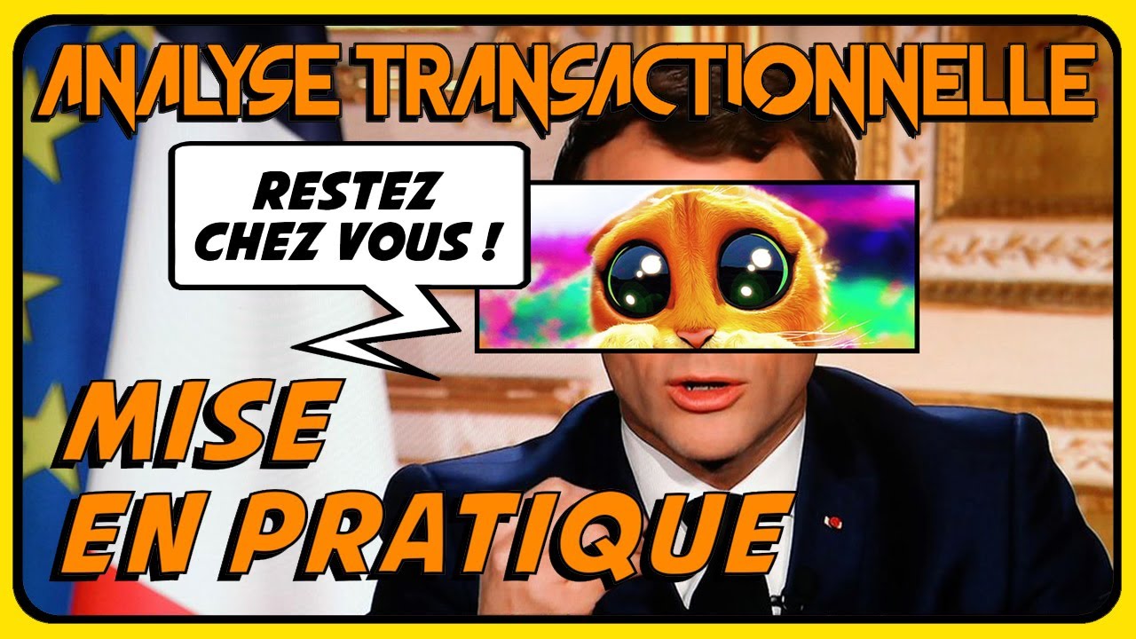 La communication persuasive (mise en pratique) - ANALYSE TRANSACTIONNELLE #11