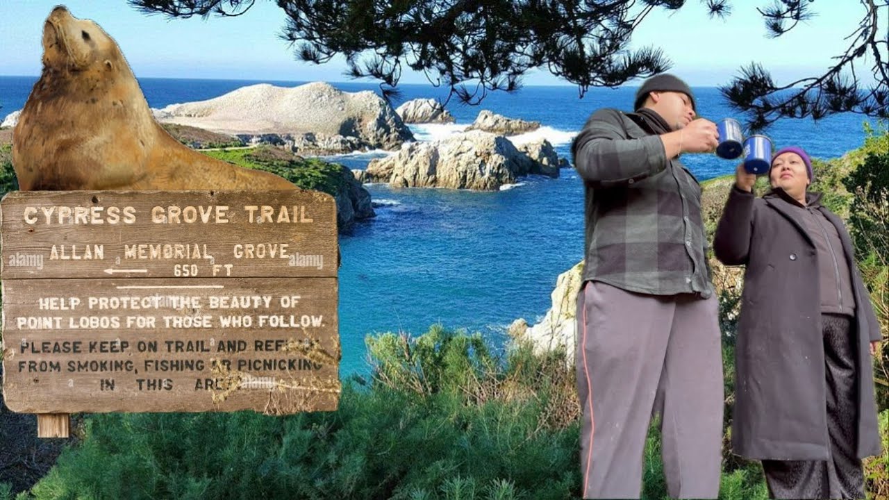 Discover the Breathtaking Beauty of Point Lobos | Monterey, California