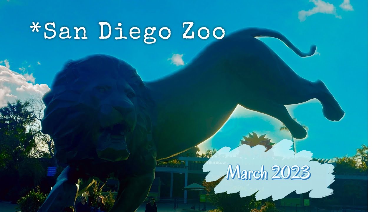 A Day at the San Diego Zoo, March 2023