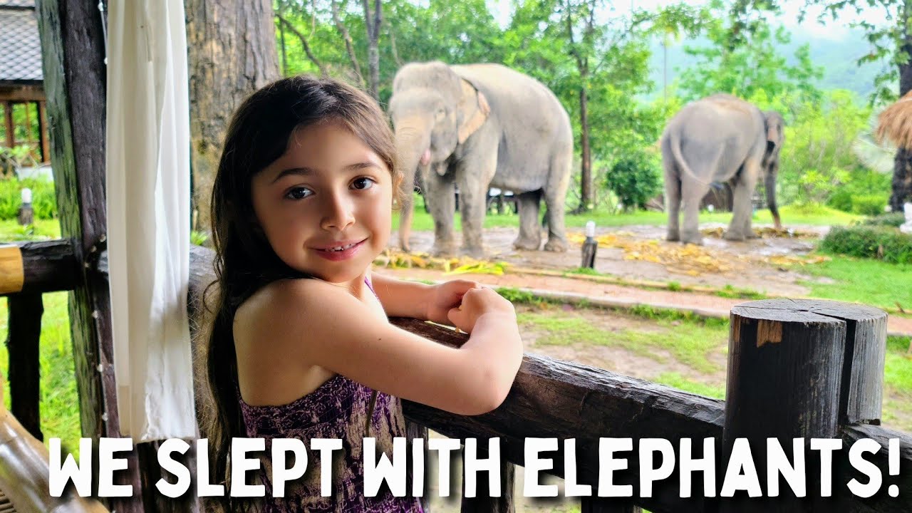 We Slept With Elephants In Thailand! Shocking Experience! 🇹🇭