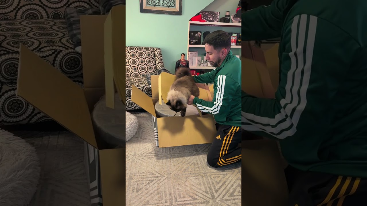 WORLD’S FIRST Vossen HFX-4 Wheels! 🛞 BMW M440i Upgrade