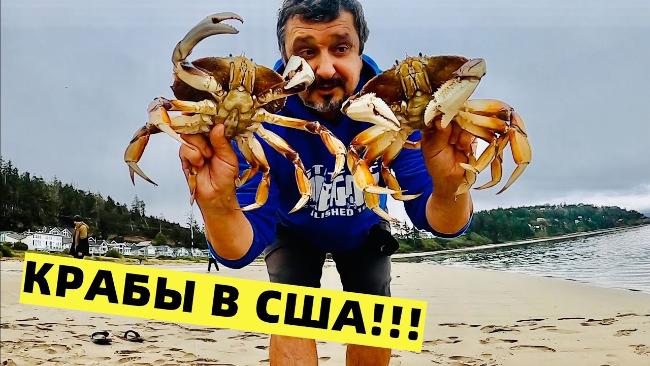 ОБЪЕДЕНИЕ! КРАБЫ В АМЕРИКЕ. ЛИМИТ ЗА ПОЛ-ЧАСА! ТИХИЙ ОКЕАН. СЕВЕРО-ЗАПАД США.