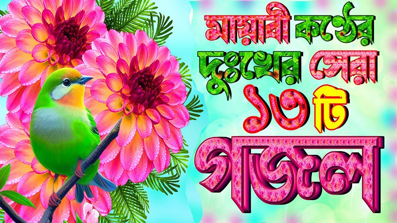 কুকিল কন্ঠের সেরা ১২টি গজল |বাছাইকৃত গজল |Selected Gajal |Islamic Gazal Machuma Aktar Gojol |Gazal