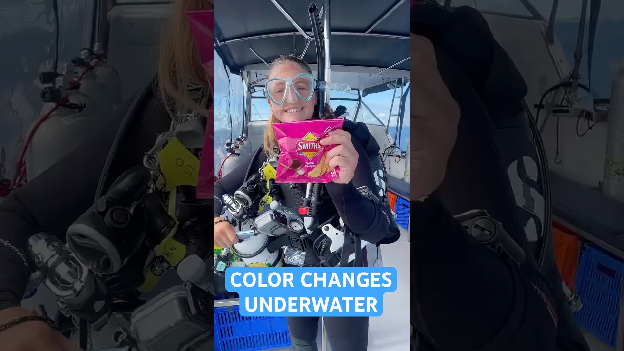 Что происходит с цветами под водой?