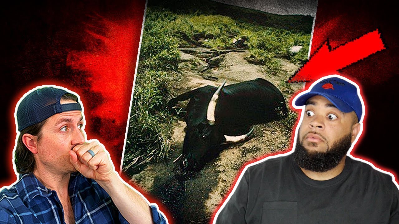 ENTIRE VILLAGE dropped DEAD overnight (*MATURE AUDIENCES ONLY*)  - LIVE with ARTOFKICKZ