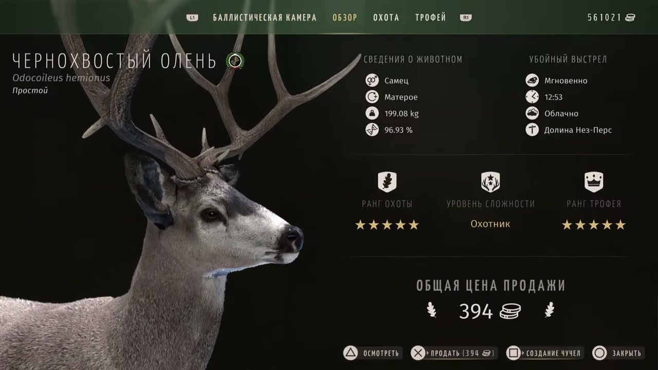 Way of the hunter 5*