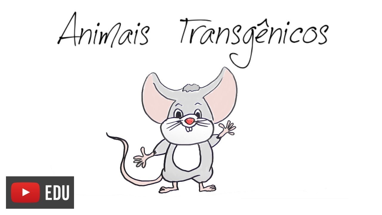 Como são feitos os animais transgênicos? | #InstanteBiotec 07