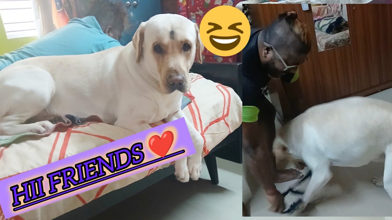 Sokal Sokal pennyr Dustumi suru...😂😂#Penny's Vlog Channel ❤️ 