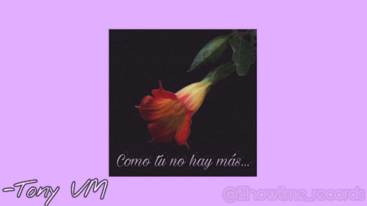 TonyVM-Como tu no hay m&aacute;s