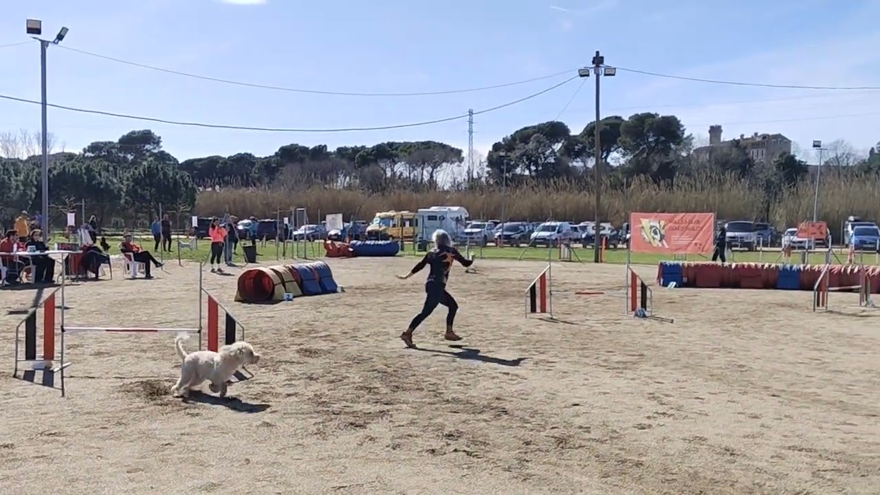 Mojito FCAG Vallés 15-02-26 Jumping