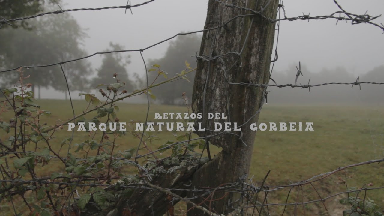 Retazos del Parque Natural de Gorbeia