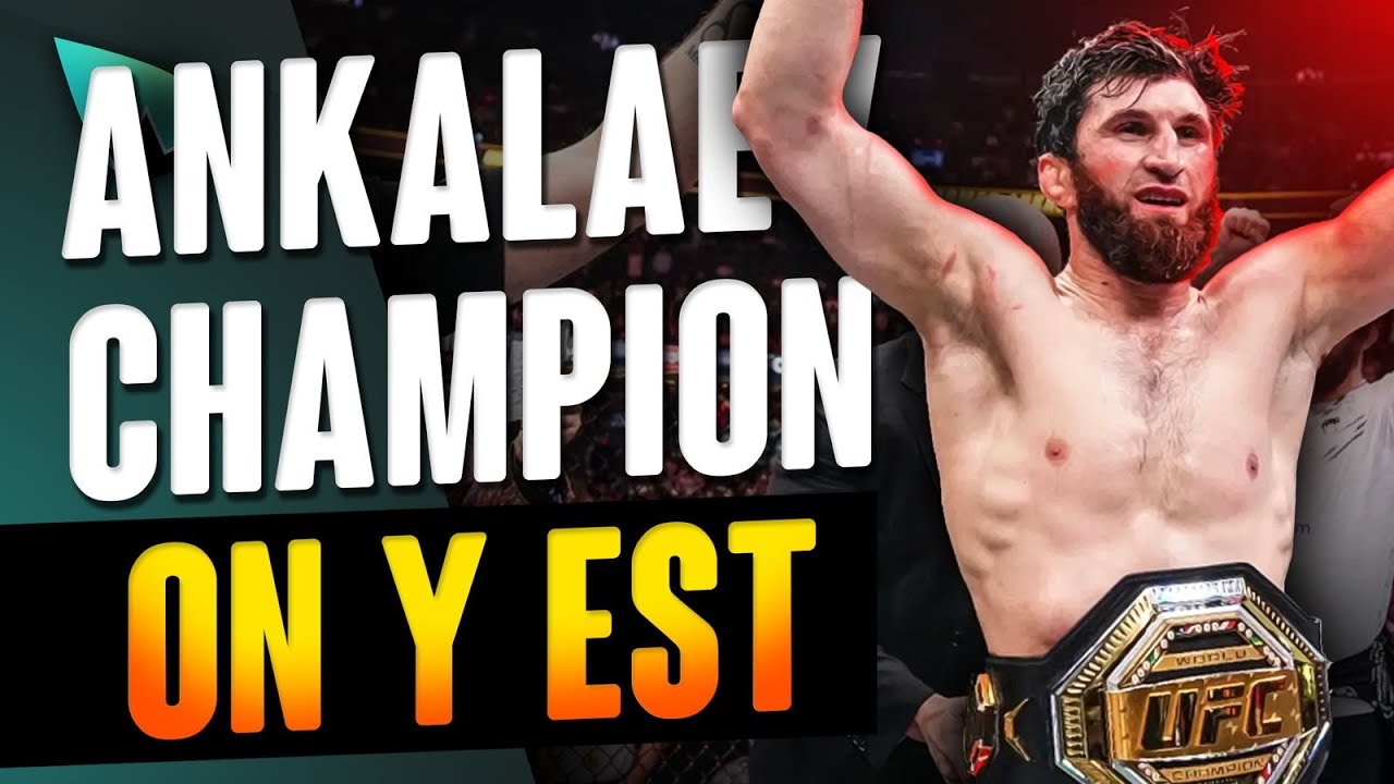 Le cauchemar de l'UFC est là