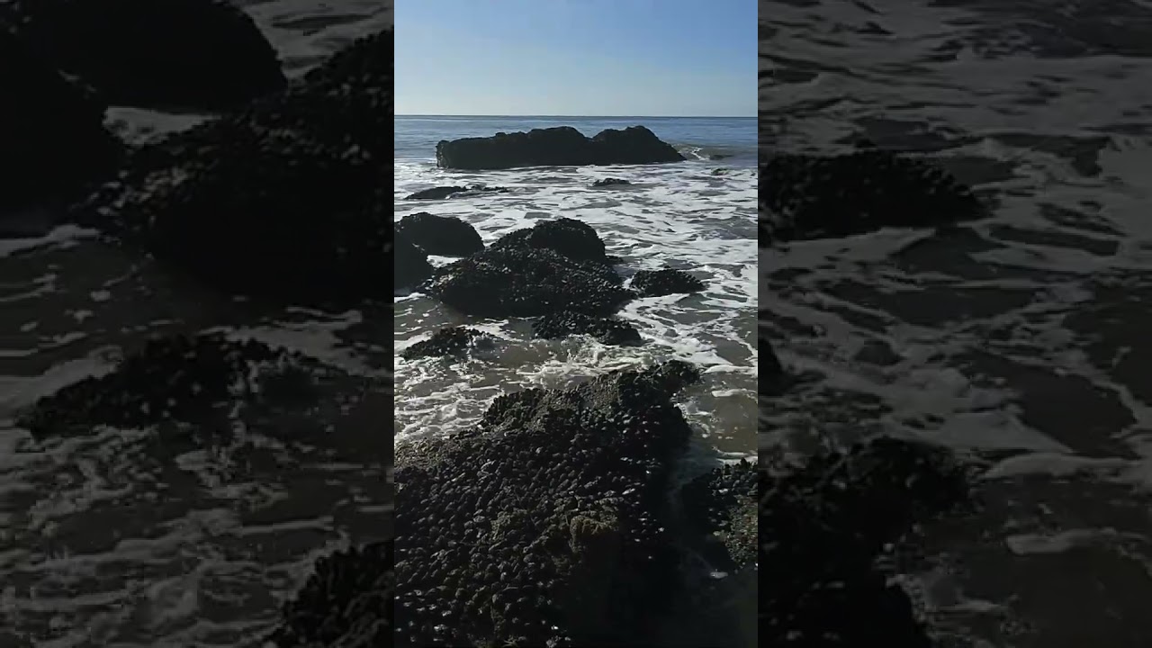 Malibu Ocean. #beach #waves #ocean #beachlife #beachvibes #californiabeaches #malibucoast