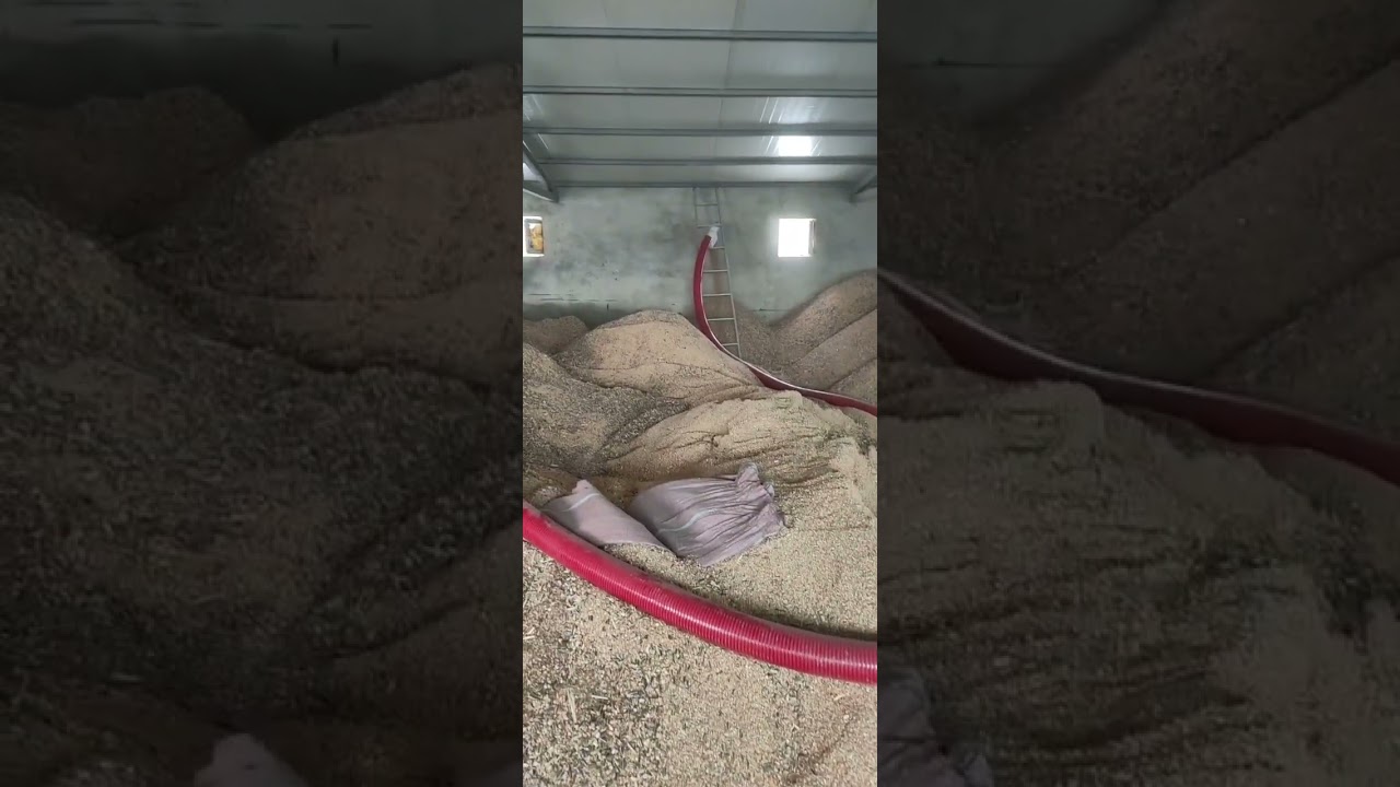 Portable Grain Auger