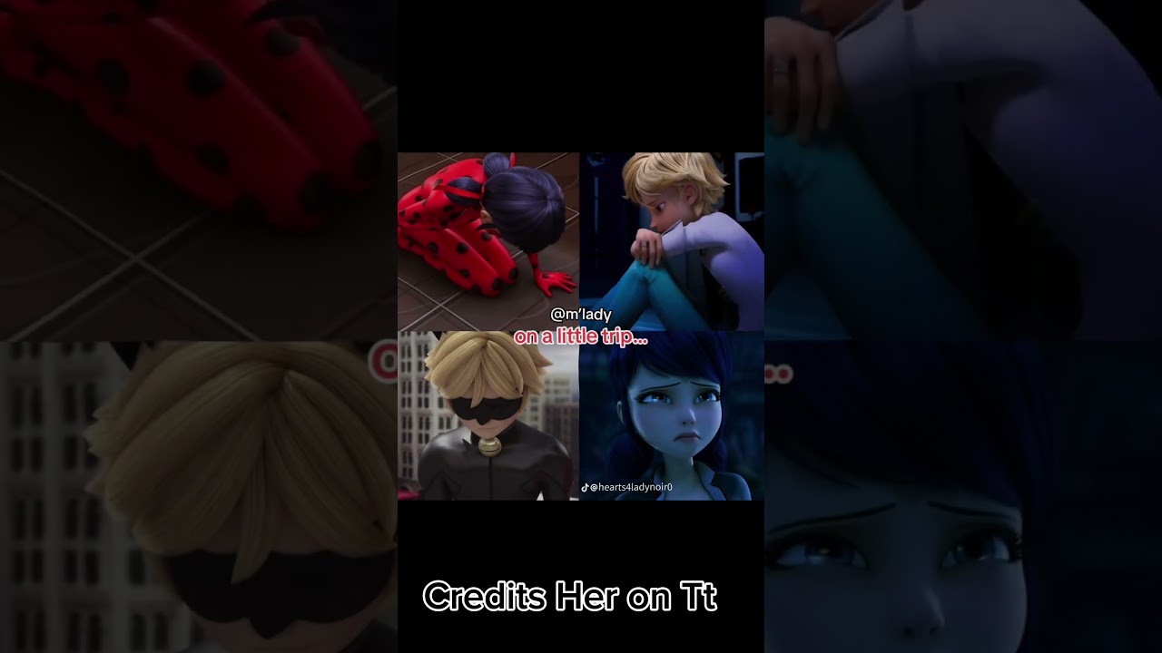 Omg this made me cry 🥹😭😭😭 #adrien #ladybug #marinette #ladynoir #catnoir #MissOldMlbS1