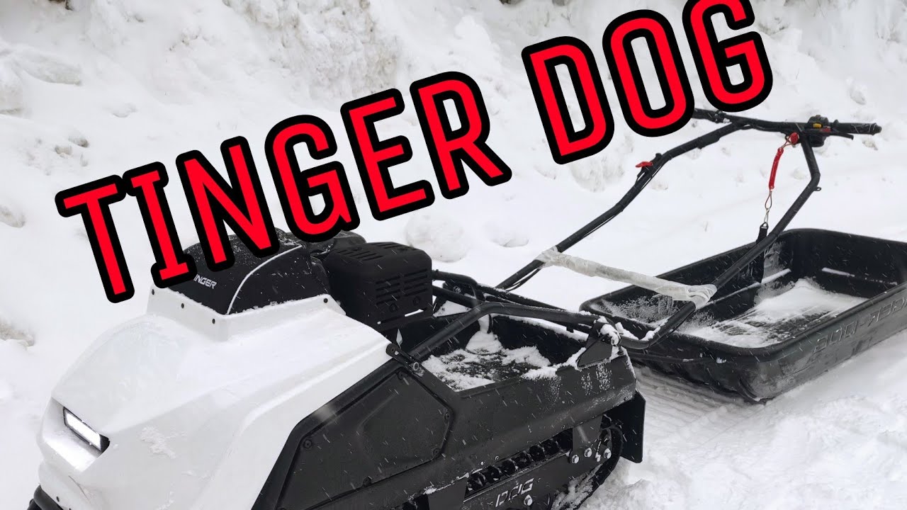 Tinger dog päivitetty snowdogin tilalle