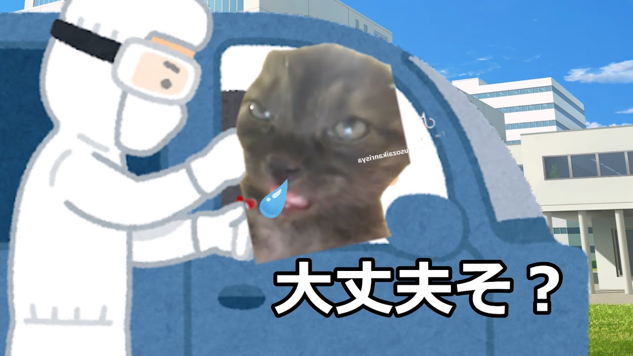 【閲覧注意】ただのインフルやと思ってたけど…
