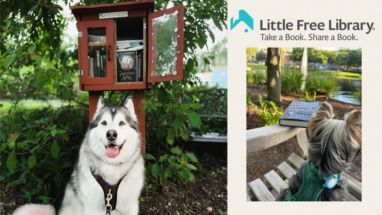 Little free library hunting with my dogs