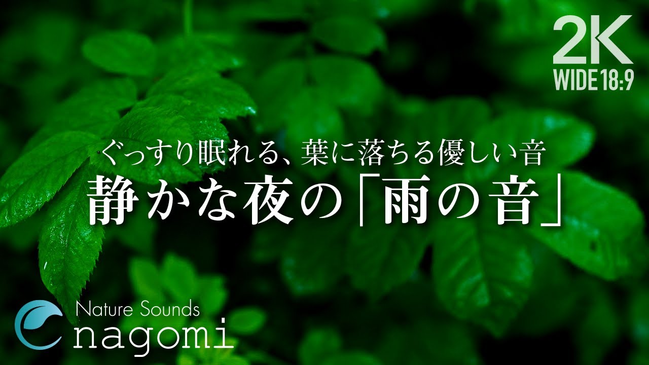 【睡眠用BGM/雨の音】ぐっすり眠れる、優しい夜の雨の音｜睡眠・疲労回復・リラックス｜雨の音のみ｜自然音/ASMR