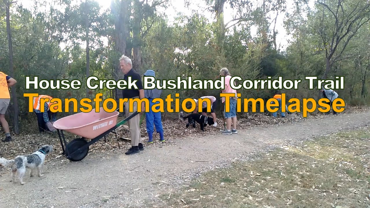Bushland Habitat Corridor - Impressive Landcare Transformation Timelapse