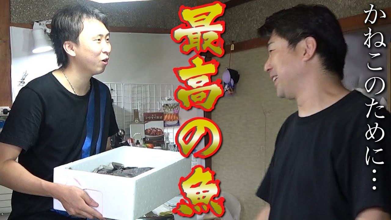 【仕入れ】1万円する旬の鮮魚をかねこに最高の状態で届けたい！！！