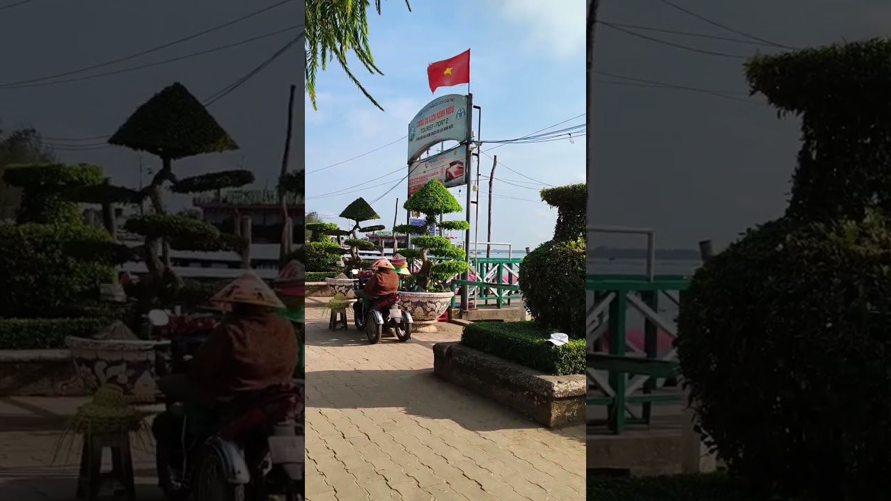 Đời cứ an nhi&ecirc;n // S&aacute;ng t&aacute;c // Phan Văn Đạt // Tr&igrave;nh b&agrave;y Ca sĩ AI #Sohrts