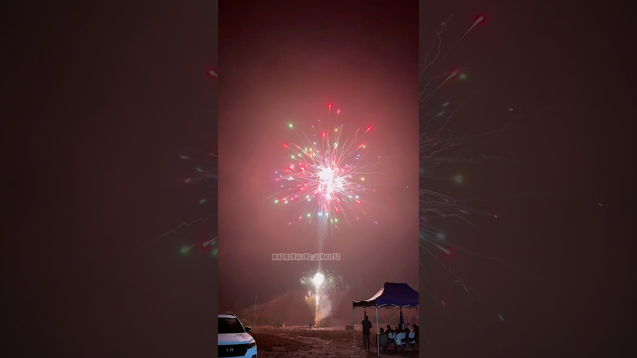 Fajerwerki Raccoon 100 strzał&oacute;w 1,2-calowa kolorowa dalia 🔥#fajerwerki #silvester