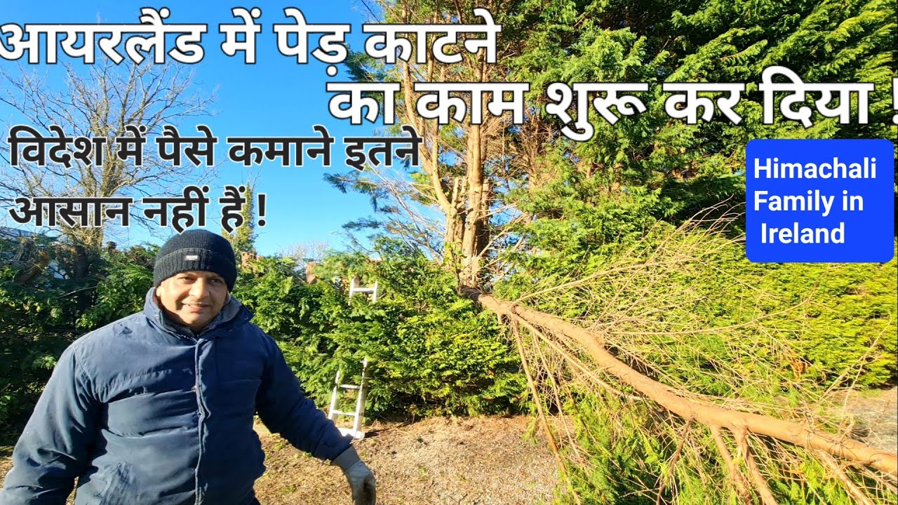 आयरलैंड में पेड़ काटने का काम शुरू कर दिया। Indian Family Blogs | Himachali Family in Ireland