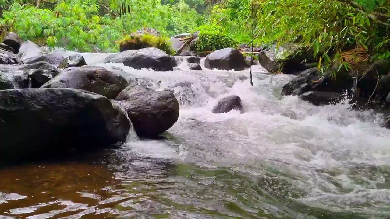 Peaceful River Flow Ambience • 1 Hour of Natural Water Sound for Focus and Relaxation 4K