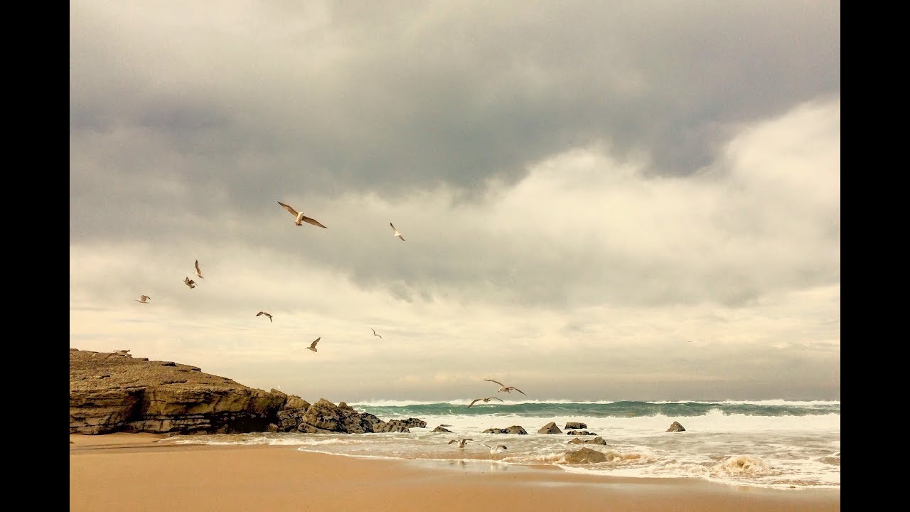 Ocean Waves Sound | Seagull Sounds for Relaxation, Sleeping, Meditation