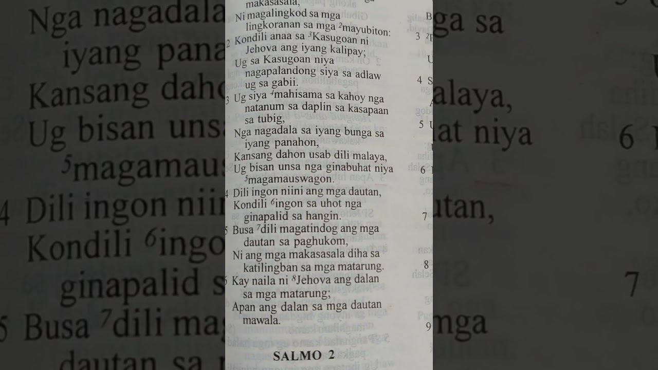 Ang duruha ka dalan