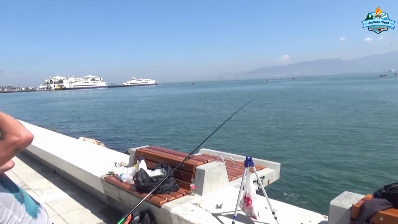 Yılan Dili ile Kıyıdan Çupra Avları Yaptık ;) - 01 Haziran 2017