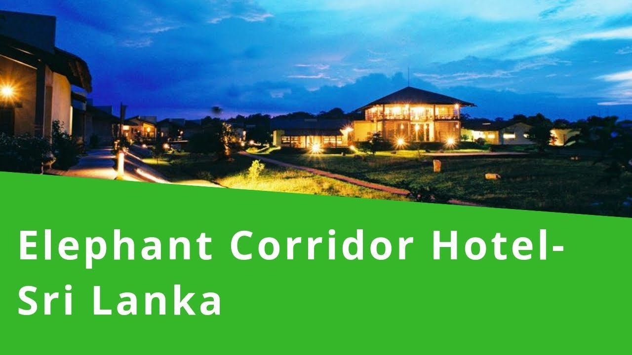 The Elephant Corridor Hotel - Sigiriya, Sri Lanka - Tp 5 Star Luxury Hotel - Video