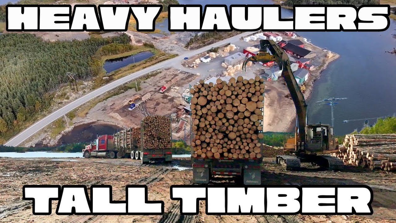 Sharp Peterbilts rolling Into Cottles Island lumber company with a huge load of logs!