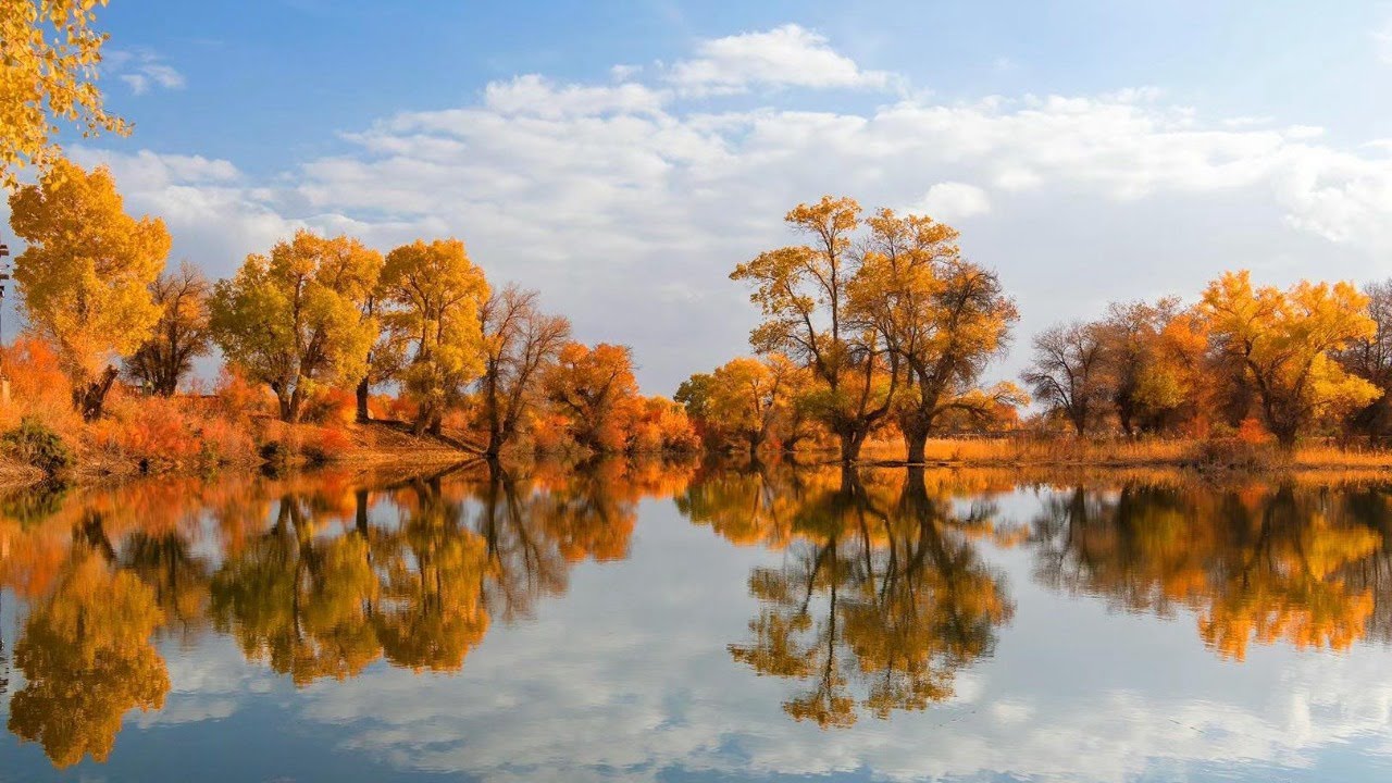 Uygur m&uuml;zikleri, ئۇيغۇر مۇزىكىلىرى, Uyghur music, Уйгурская музыка